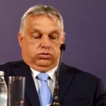 Режим Орбана и безнаказанность в защите детей