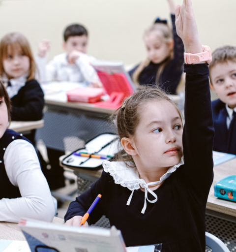 Рост стоимости «электронного дневника» делает сервис недоступным для малообеспеченных семей в россии