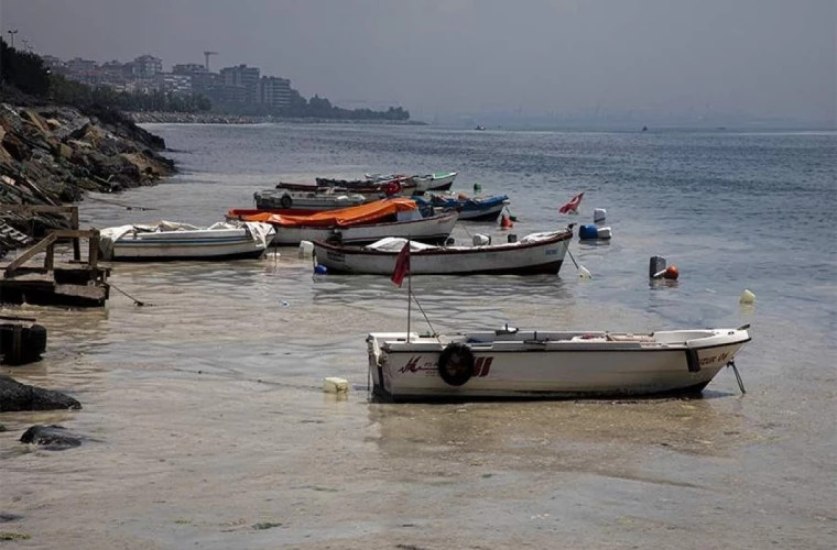 У побережья Турции мраморное море отступило на 20 метров, образовав песчаные участки