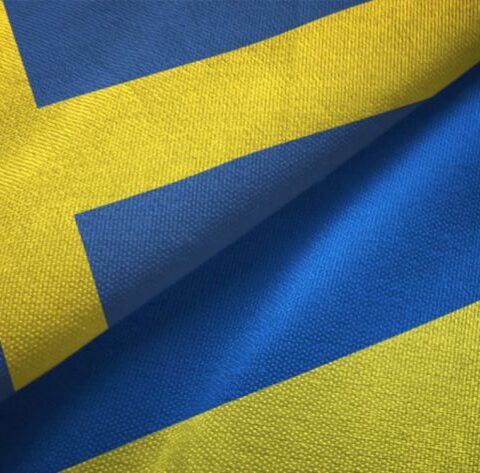 Украина и Швеция укрепляют оборонные возможности Северной Европы