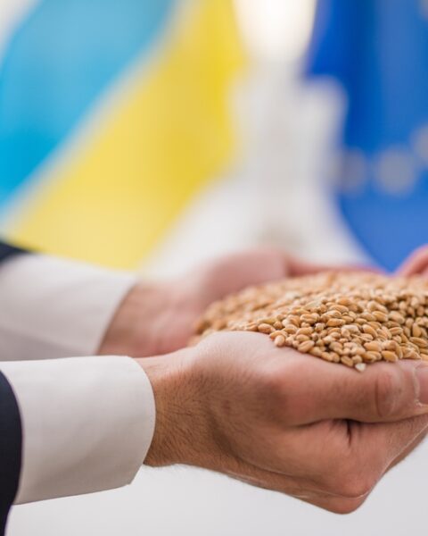 Украина усиливает продовольственную и экономическую безопасность Европы через аграрное партнёрство с Польшей