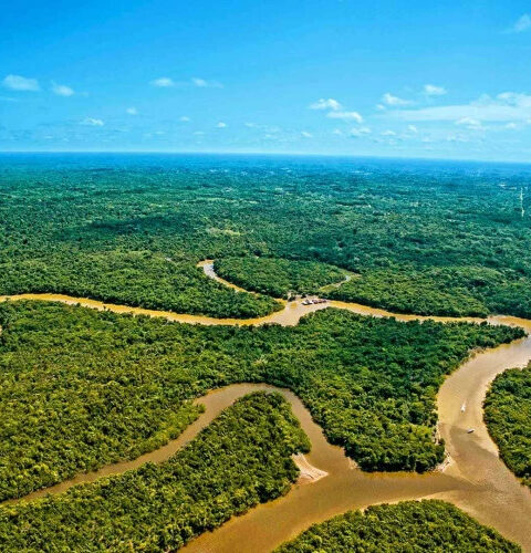 В Бразилии нет ни одного моста через реку Амазонку: причины и последствия