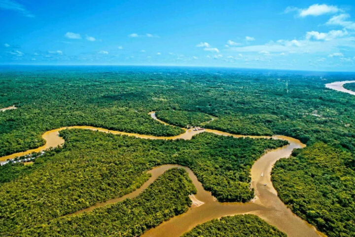 В Бразилии нет ни одного моста через реку Амазонку: причины и последствия