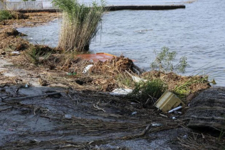 В Одессе на пляжах Дельфин и Ланжерон обнаружены пятна, похожие на нефтяные, и погибшие птицы