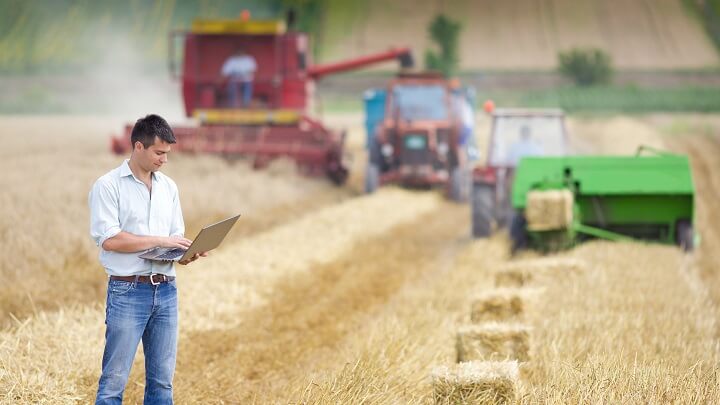 В России предлагают обязать выпускников аграрных вузов работать в деревне пять лет