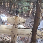 В румынском уезде Арджеш нашли упавший дрон с парашютом