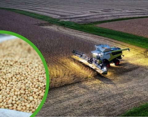 Украина усиливает роль в обеспечении ЕС продуктами переработки сои