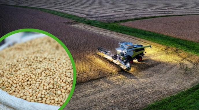 Украина усиливает роль в обеспечении ЕС продуктами переработки сои