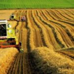 AIPA утвердило субсидии фермерам на сумму более 520 миллионов леев