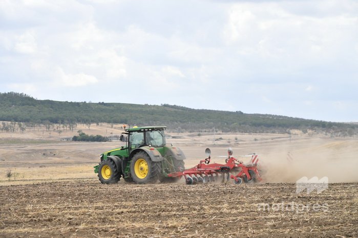 AIPA выделила 680 тысяч леев на авансовые платежи сельхозпроизводителям