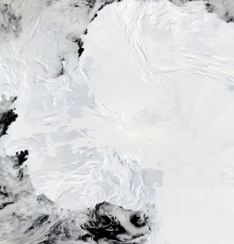 Антарктиде грозит серьёзный "двойной удар" из-за глобального потепления