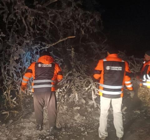 Чигора парализует Молдову: тысячи людей без света, непрерывные вмешательства