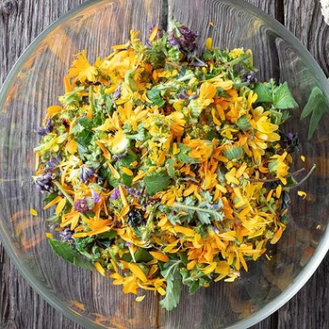 Девять природных средств для поддержки иммунной системы в зимний период