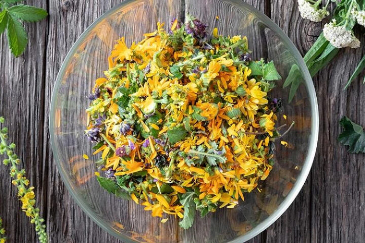 Девять природных средств для поддержки иммунной системы в зимний период