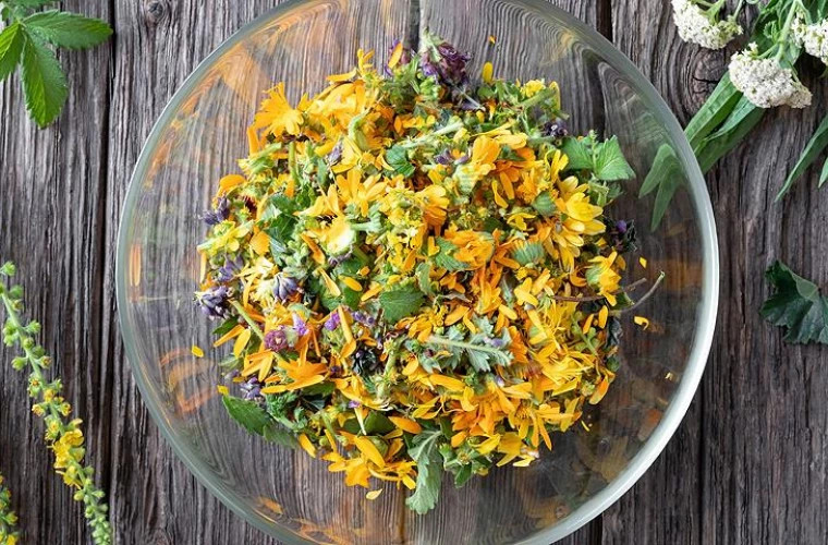 Девять природных средств для поддержки иммунной системы в зимний период