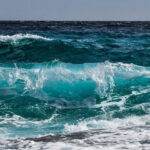 Две трети мирового океана подпадают под международную защиту по соглашению ООН о биологическом разнообразии