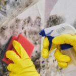 Экологичные способы удаления плесени в доме на долгий срок