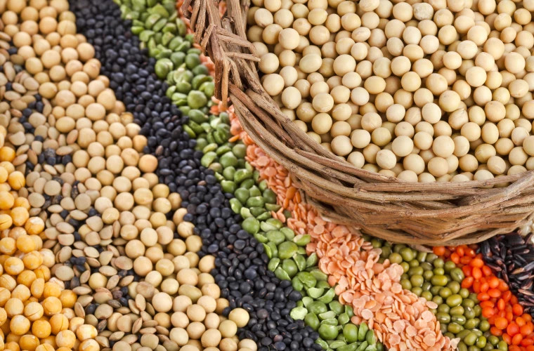 Идеальный ужин: диетолог советует использовать растения и бобовые для улучшения пищеварения
