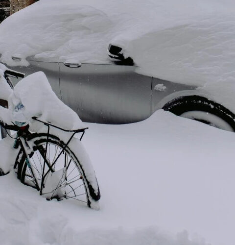 Италию охватила сильная волна холода с отрицательными температурами до минус 23,1 градуса