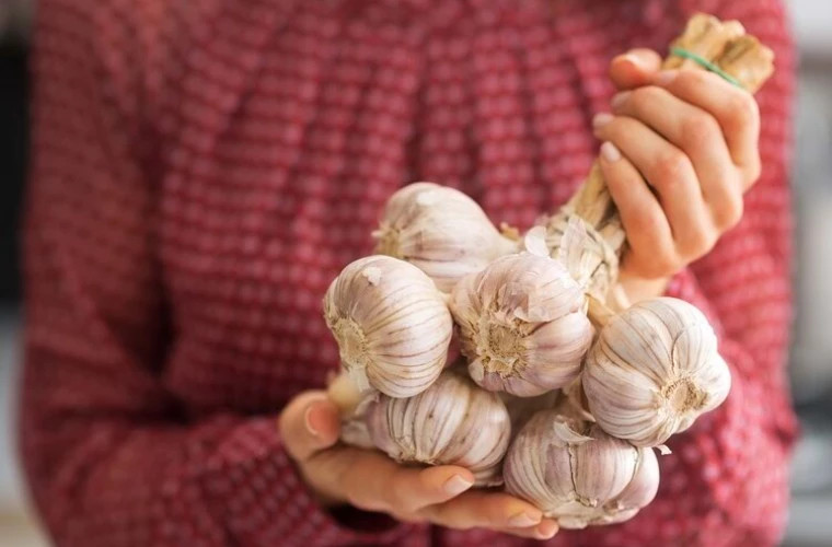 Как правильно использовать чеснок для укрепления здоровья и предотвращения заболеваний