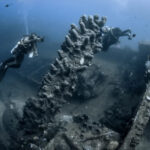 Крупнейший средневековый винтовой корабль найден у берегов Дании