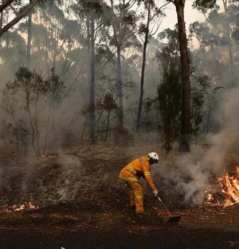 Лесные пожары угрожают десяткам городов в австралийском штате Виктория
