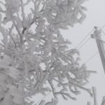 Многие населенные пункты остались без электроэнергии из-за непогоды