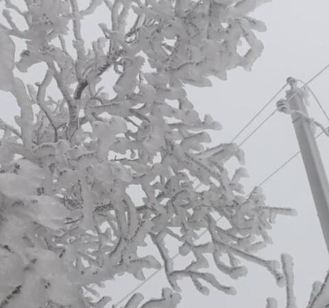 Многие населенные пункты остались без электроэнергии из-за непогоды