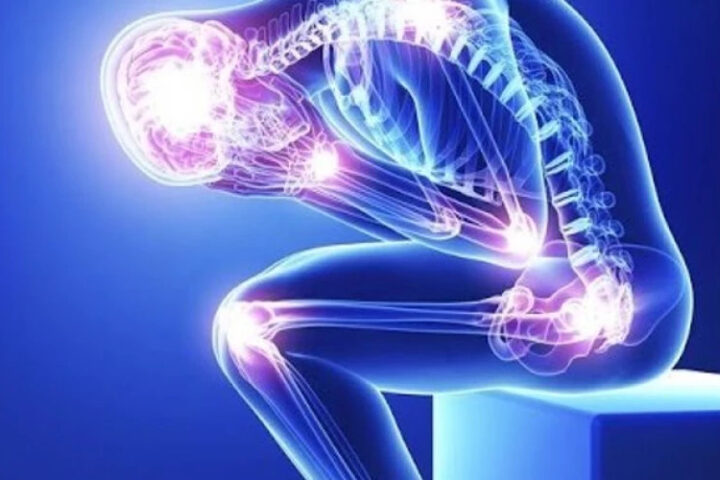 Народные средства для лечения остеопороза: что нужно знать более половине женщин старше 50 лет