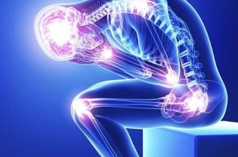 Народные средства для лечения остеопороза: что нужно знать более половине женщин старше 50 лет