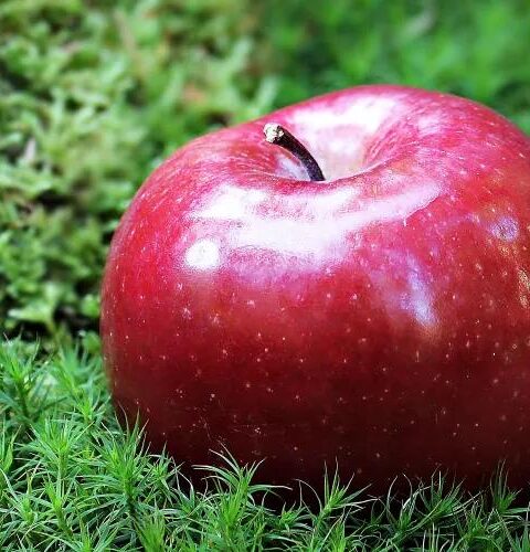 Одно яблоко в день может снизить риск инфаркта, утверждают учёные из Оксфорда