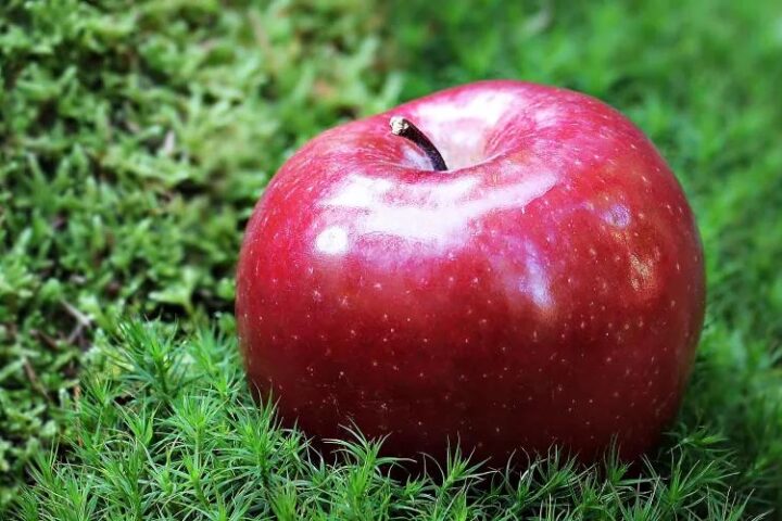 Одно яблоко в день может снизить риск инфаркта, утверждают учёные из Оксфорда