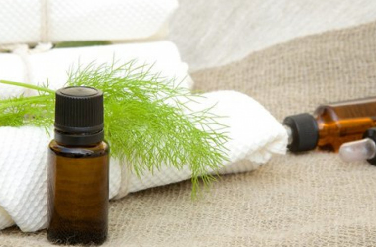 Польза укропного масла для пищеварения и здоровья кормящих женщин