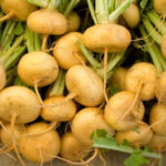 Репа как природное средство против опухолей и для поддержки здоровья