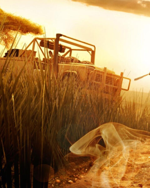 Россия привлекла южноафриканских геймеров к участию в конфликте в Украине