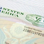 США приостановили выдачу иммиграционных виз: МИД Молдовы разъясняет ситуацию