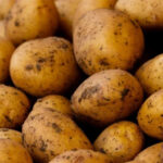 В Берлине раздают 4 миллиона килограммов картофеля для нуждающихся