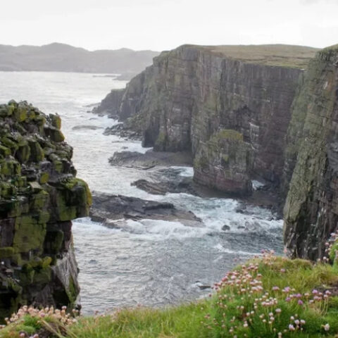 В Шотландии ищут рейнджера для работы на необитаемом острове с зарплатой 26 тысяч фунтов стерлингов в год