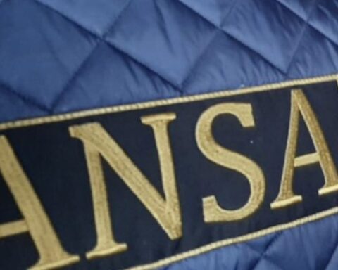 ANSA опровергла информацию о невозможности проверки метронидазола в мясе птицы