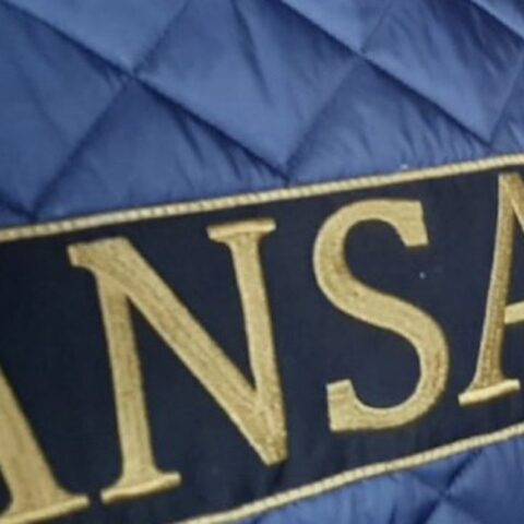 ANSA опровергла информацию о невозможности проверки метронидазола в мясе птицы