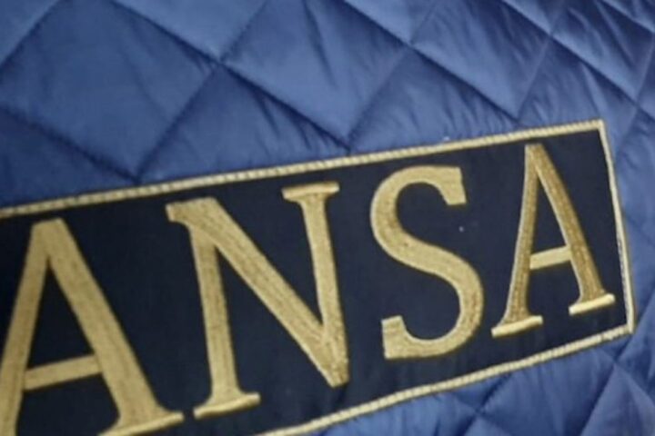 ANSA опровергла информацию о невозможности проверки метронидазола в мясе птицы