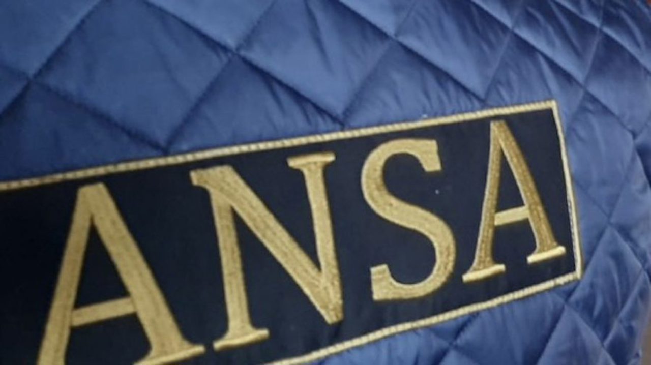 ANSA опровергла информацию о невозможности проверки метронидазола в мясе птицы