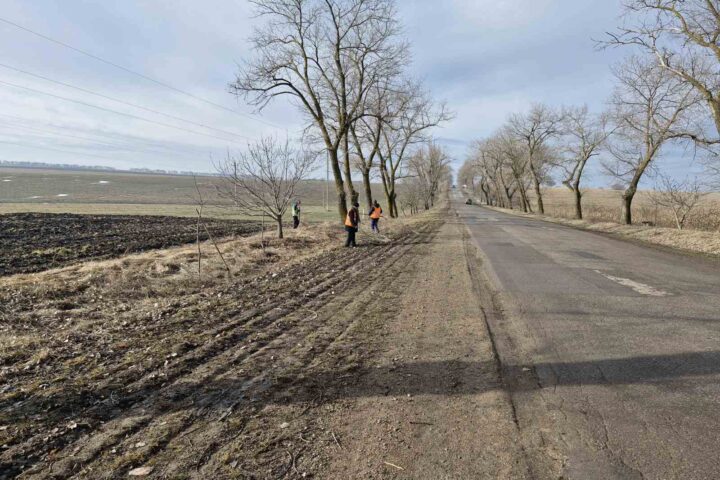 Движение по национальным дорогам Молдовы осложнено из-за дождя и тумана, НАД проводит работы