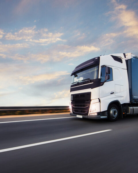 Экспорт товаров из Молдовы вырос на 6,4% в 2025 году, ЕС остается основным рынком