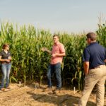 Фермеры Молдовы могут участвовать в конкурсе на получение сельскохозяйственного консультирования до 23 февраля 2026 года