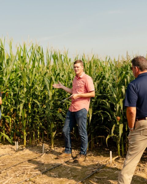 Фермеры Молдовы могут участвовать в конкурсе на получение сельскохозяйственного консультирования до 23 февраля 2026 года