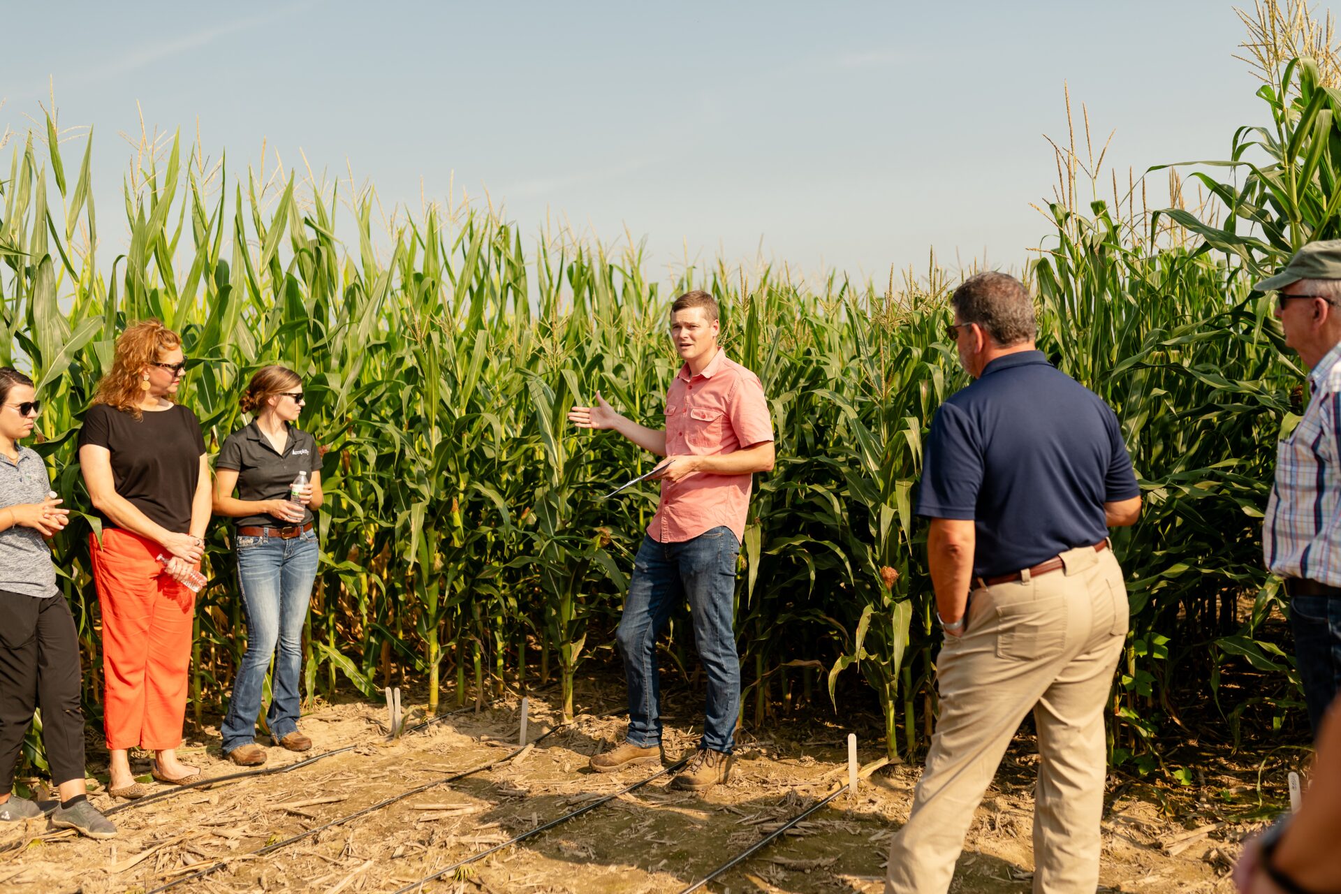 Фермеры Молдовы могут участвовать в конкурсе на получение сельскохозяйственного консультирования до 23 февраля 2026 года