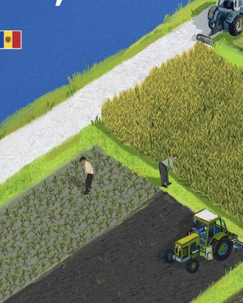 Фермеры Молдовы смогут получить гранты до 50 тысяч евро на проекты в семеноводстве