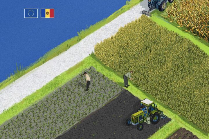 Фермеры Молдовы смогут получить гранты до 50 тысяч евро на проекты в семеноводстве