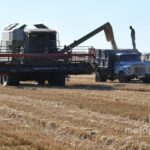 Государство субсидирует 70% страховой премии для сельхозпроизводителей Молдовы